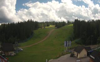Suche ski dolna stacja - 02-08-2025 11:32