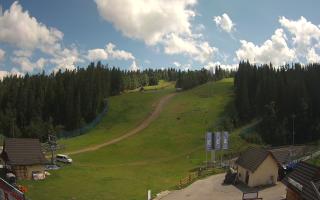 Suche ski dolna stacja - 02-08-2025 11:53