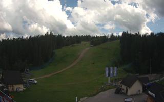 Suche ski dolna stacja - 02-08-2025 13:53