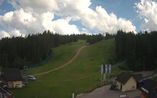 Suche ski dolna stacja - 02-08-2025 14:14