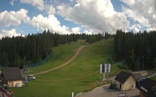 Suche ski dolna stacja - 02-08-2025 14:21