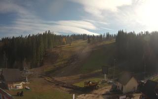 Suche ski dolna stacja - 02-11-2025 11:40