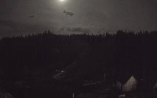 Suche ski dolna stacja - 02-11-2025 17:25