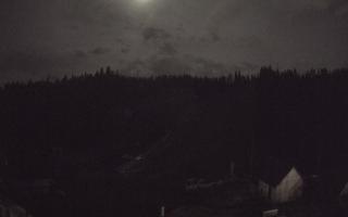 Suche ski dolna stacja - 02-11-2025 17:32