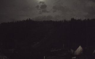 Suche ski dolna stacja - 02-11-2025 17:39