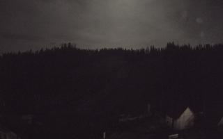 Suche ski dolna stacja - 02-11-2025 18:21