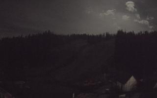 Suche ski dolna stacja - 02-11-2025 19:53