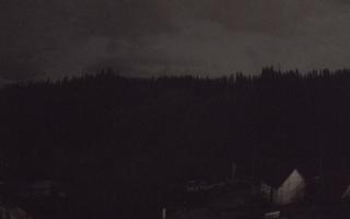 Suche ski dolna stacja - 02-11-2025 22:14