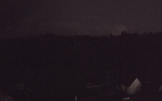 Suche ski dolna stacja - 03-11-2025 00:20