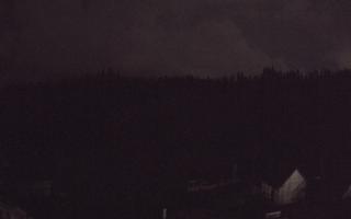 Suche ski dolna stacja - 03-11-2025 01:02