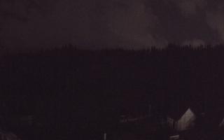 Suche ski dolna stacja - 03-11-2025 01:09