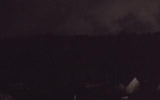 Suche ski dolna stacja - 03-11-2025 01:45