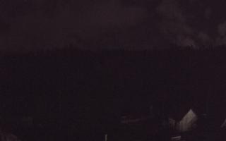 Suche ski dolna stacja - 03-11-2025 02:13