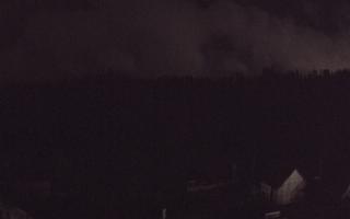 Suche ski dolna stacja - 03-11-2025 02:20