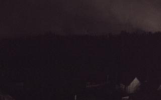 Suche ski dolna stacja - 03-11-2025 02:27