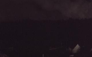 Suche ski dolna stacja - 03-11-2025 02:34