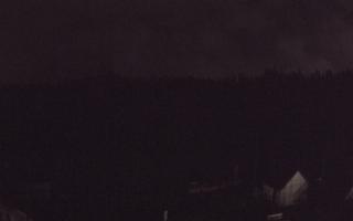 Suche ski dolna stacja - 03-11-2025 02:41