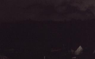 Suche ski dolna stacja - 03-11-2025 02:48