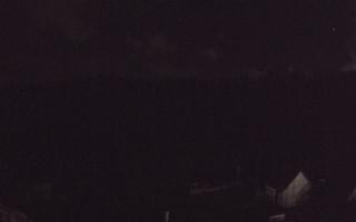 Suche ski dolna stacja - 03-11-2025 03:16