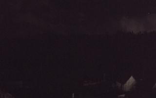 Suche ski dolna stacja - 03-11-2025 03:23