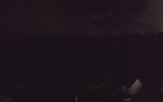 Suche ski dolna stacja - 03-11-2025 03:37