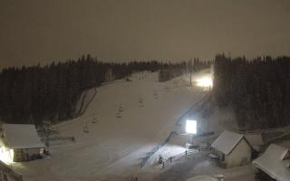 Suche ski dolna stacja - 31-12-2025 19:24