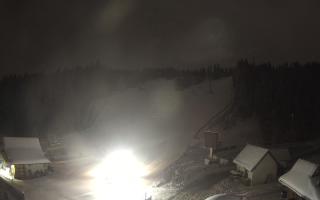 Suche ski dolna stacja - 31-12-2025 20:20