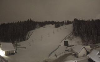 Suche ski dolna stacja - 31-12-2025 21:16