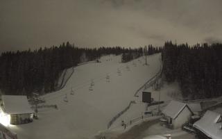 Suche ski dolna stacja - 31-12-2025 21:51