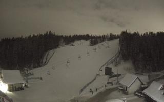 Suche ski dolna stacja - 31-12-2025 21:58