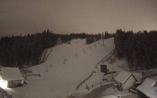 Suche ski dolna stacja - 31-12-2025 22:13