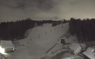 Suche ski dolna stacja - 01-01-2026 00:26