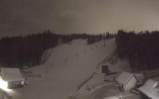 Suche ski dolna stacja - 01-01-2026 04:32