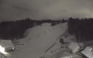 Suche ski dolna stacja - 01-01-2026 05:29