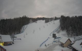 Suche ski dolna stacja - 01-01-2026 06:11