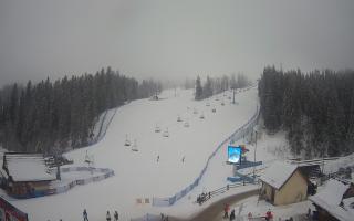 Suche ski dolna stacja - 29-01-2026 14:12