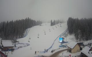 Suche ski dolna stacja - 29-01-2026 14:19