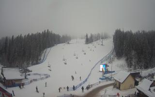 Suche ski dolna stacja - 29-01-2026 14:33