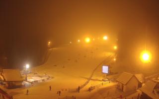 Suche ski dolna stacja - 29-01-2026 18:13