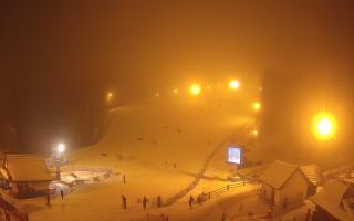 Suche ski dolna stacja - 29-01-2026 18:41