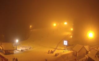 Suche ski dolna stacja - 29-01-2026 19:09