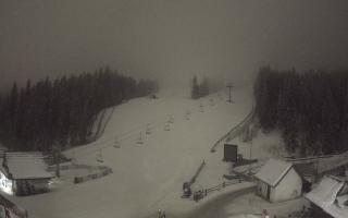 Suche ski dolna stacja - 29-01-2026 20:34