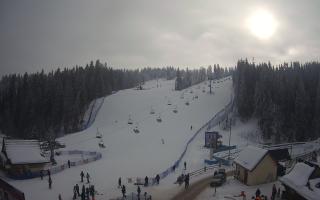 Suche ski dolna stacja - 01-02-2026 10:48