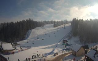 Suche ski dolna stacja - 01-02-2026 12:06