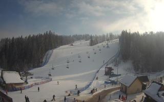 Suche ski dolna stacja - 01-02-2026 12:20