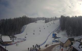 Suche ski dolna stacja - 01-02-2026 12:27