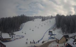 Suche ski dolna stacja - 01-02-2026 12:48