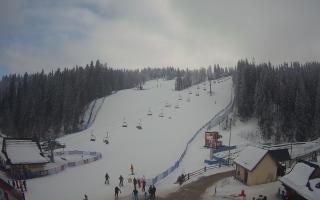Suche ski dolna stacja - 01-02-2026 13:16