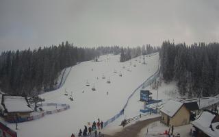 Suche ski dolna stacja - 01-02-2026 13:23