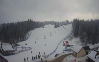 Suche ski dolna stacja - 01-02-2026 14:05
